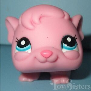 LPS pink guinea pig